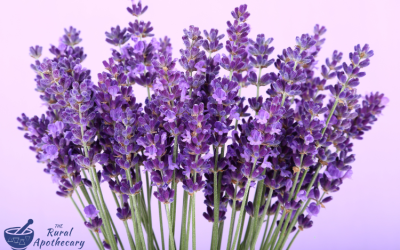 Lavender